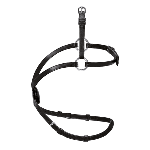 Passier Blu Snaffle Grackle Comfort Bridle - Image 2