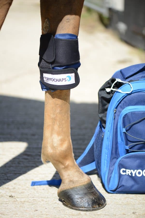 Cryochaps Absolute Wraps - Image 2