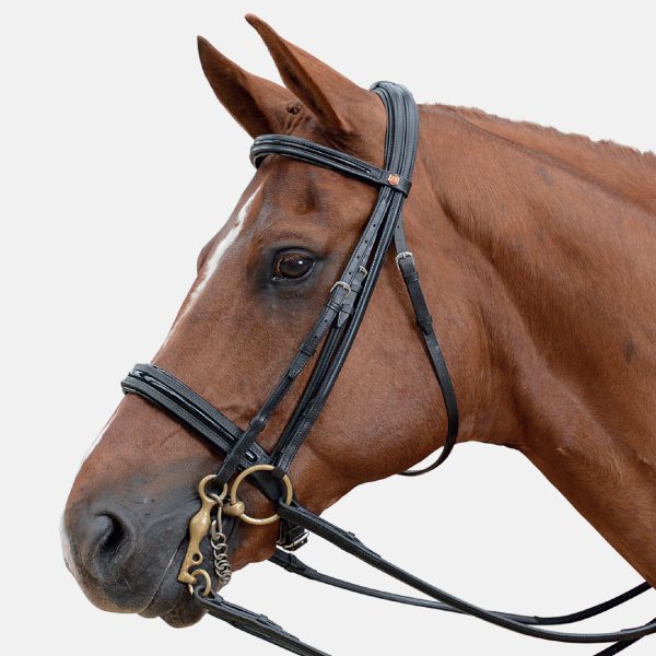 Albion Super Double Bridle with Crank Noseband 