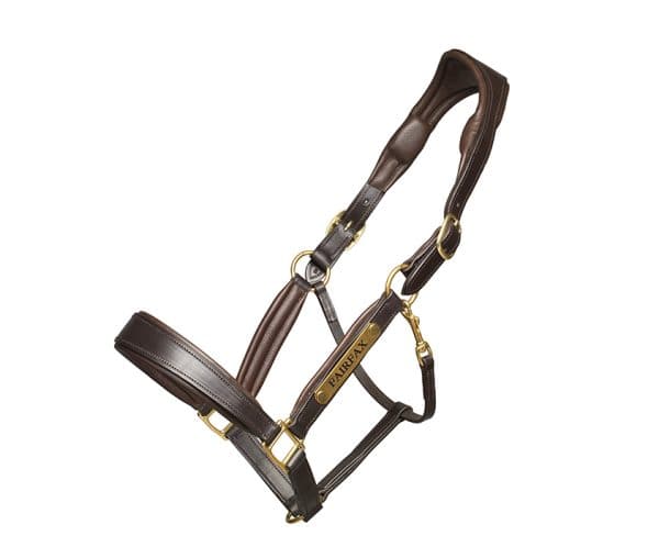 Fairfax Rio Headcollar 