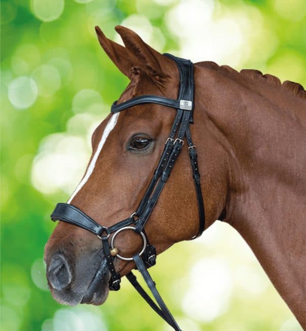 Fairfax Performance Snaffle Bridle - Image 2