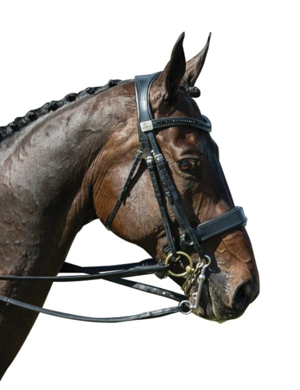 Fairfax Performance Double Bridle - Image 2