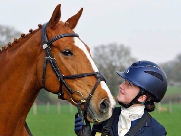 Fairfax Performance Snaffle Bridle - Image 3